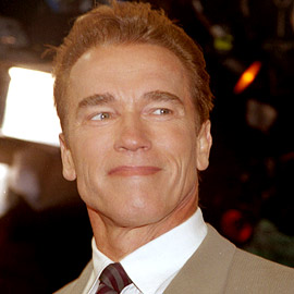 schwarzenegger.jpg (20424 bytes)